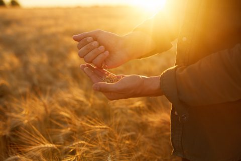 Adobe Stock 194737657