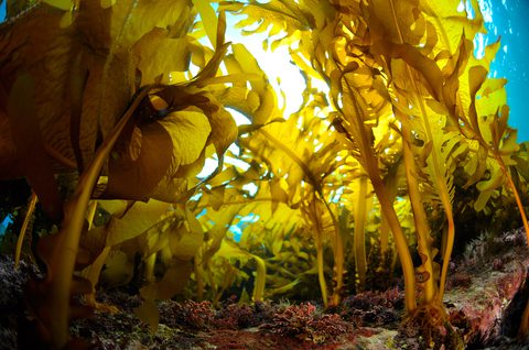 Adobe Stock 196340860