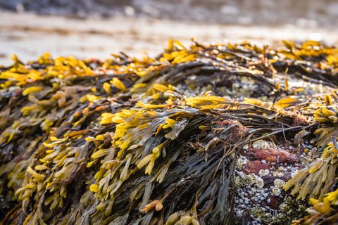 Adobe Stock 216825247