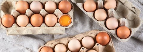 Adobe Stock 248268722