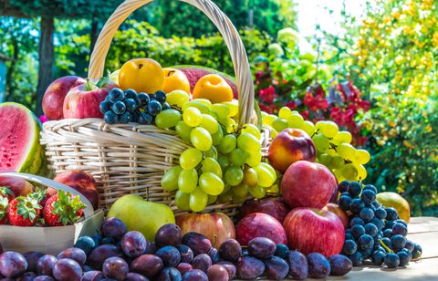 Adobe Stock 288405562