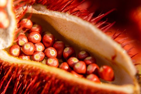 Adobe Stock 421552095