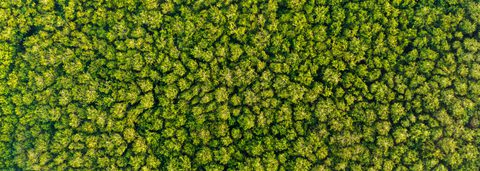 Adobe Stock 470647869