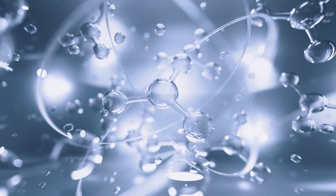 Adobe Stock 502062990