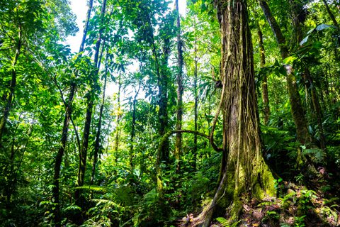 Adobe Stock 552654796