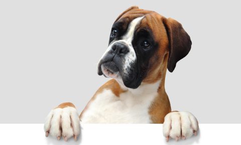 Adobe Stock 70427572