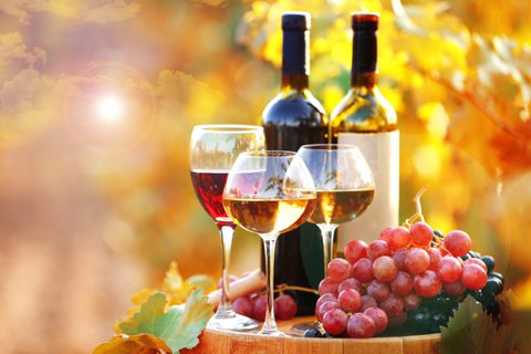 Adobe Stock 77378213