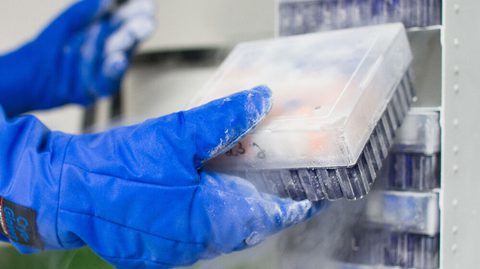 BRAINBioarchive