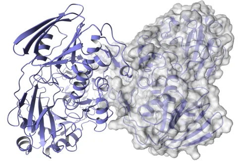 BRAIN Biotech Bespoke Enzyme panels