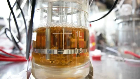 Bioprocess BRAI Nbiotech 1