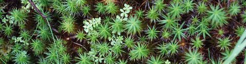 Bioprospecting at BRAINBiocatalysts flat medium