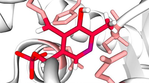 Enzyme BRAIN Biotech improved