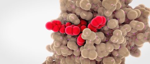 Enzyme engineering at BRAIN Biotech 2
