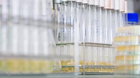 Mikrobiology Laboratory BRAIN Biotech
