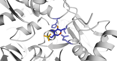Predicting Beneficial Mutations