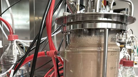 Table fermenter Bioprociess BRAIN Biocatalysts web