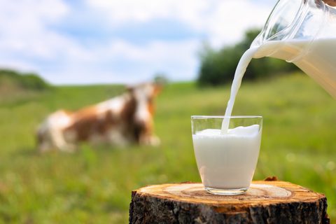 Dairy Adobe Stock 354060824