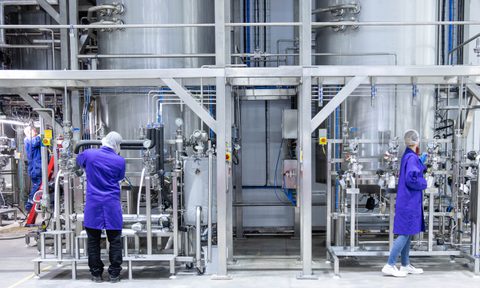 Biocats website About us 2