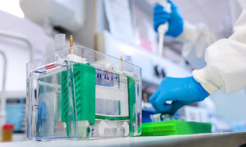 Biocats website Lab 1