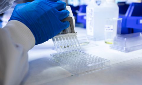 Biocats website Lab 2