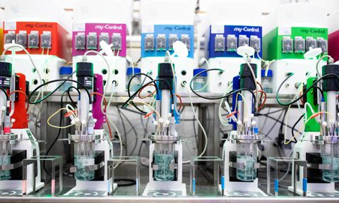 Biocats website EDM 1