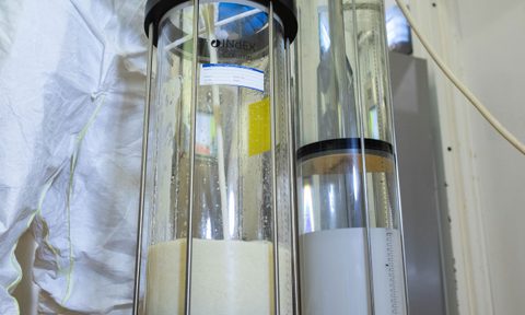 Biocats website Life Sciences 1