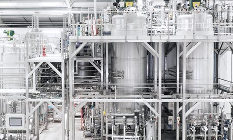 Biocats website Productionhall 3