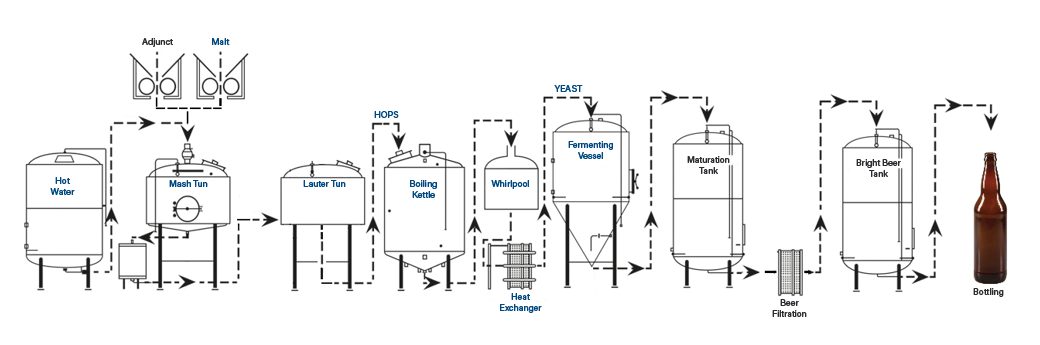 Beer Producing Process Optimising Dough… | BRAINBiocatalysts Beyond Standard Solutions