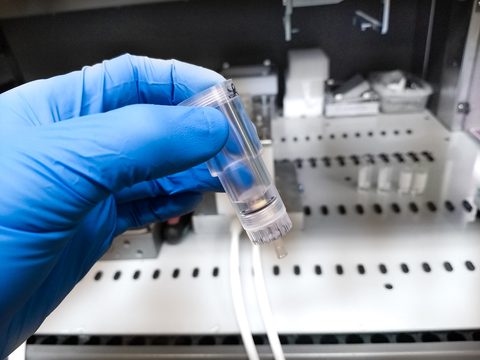 IMG 20181106 093114569 3