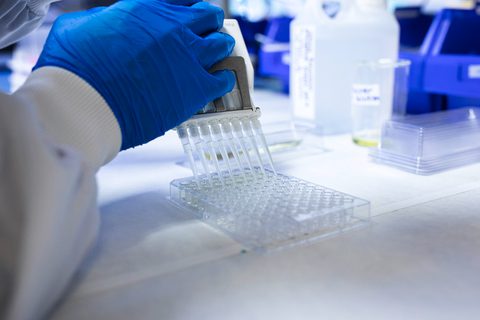 Biocats website Catalase 929 L