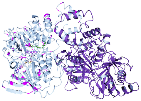 Comprehensive Engineering Rounds