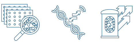 DNA icons Nuclease page Zeichenfläche 1 Kopie 7