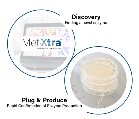 Discovery Plug Produce