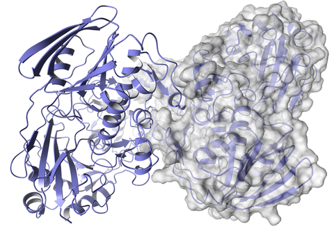 Enzyme Development Modular Work Packages