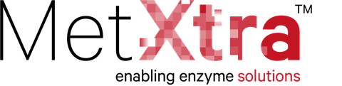 Met Xtra Logo RGB