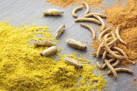 Shutterstock 174446729