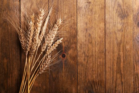Wheat-Gluten2