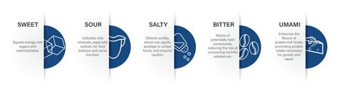 The Role of the Five Basic Tastes 01