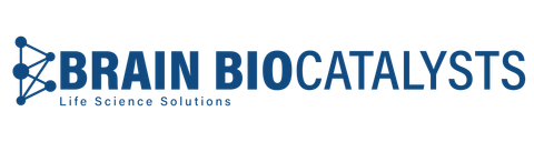 Alternate logo option Option 1 24