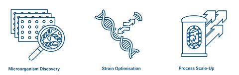 Strain development webpage 01